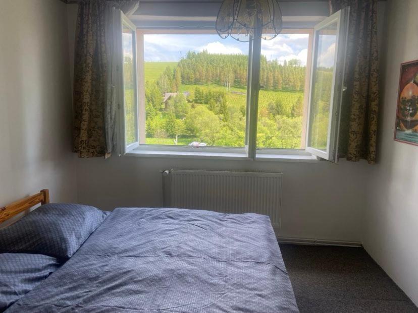 Apartman Orlicke Hory Orlicke Zahori Exteriér fotografie