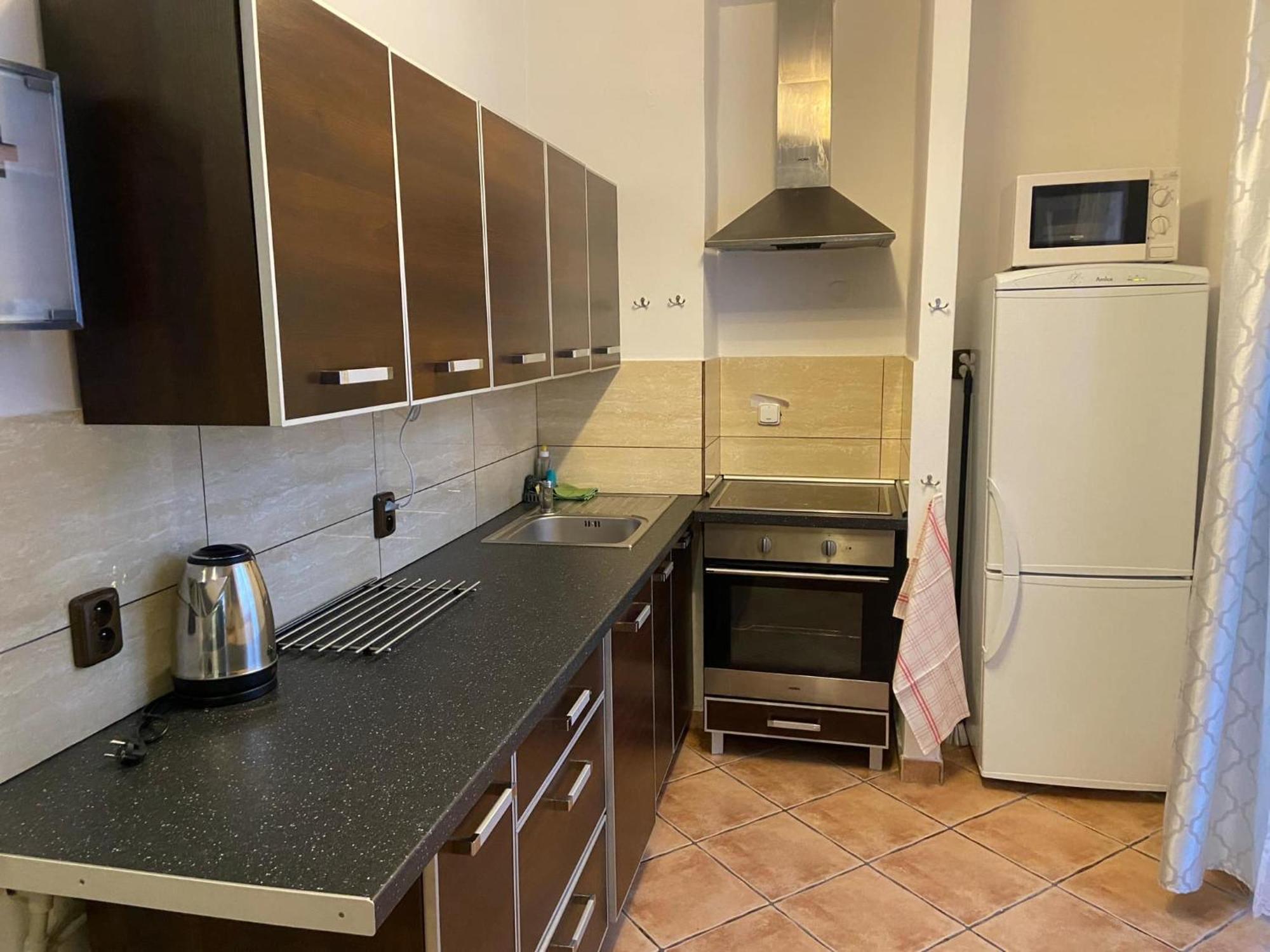 Apartman Orlicke Hory Orlicke Zahori Exteriér fotografie